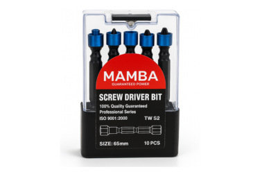 SCREWDRIVER BIT BLACK & BLUE