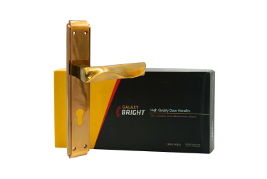 Bright Door handle 007
